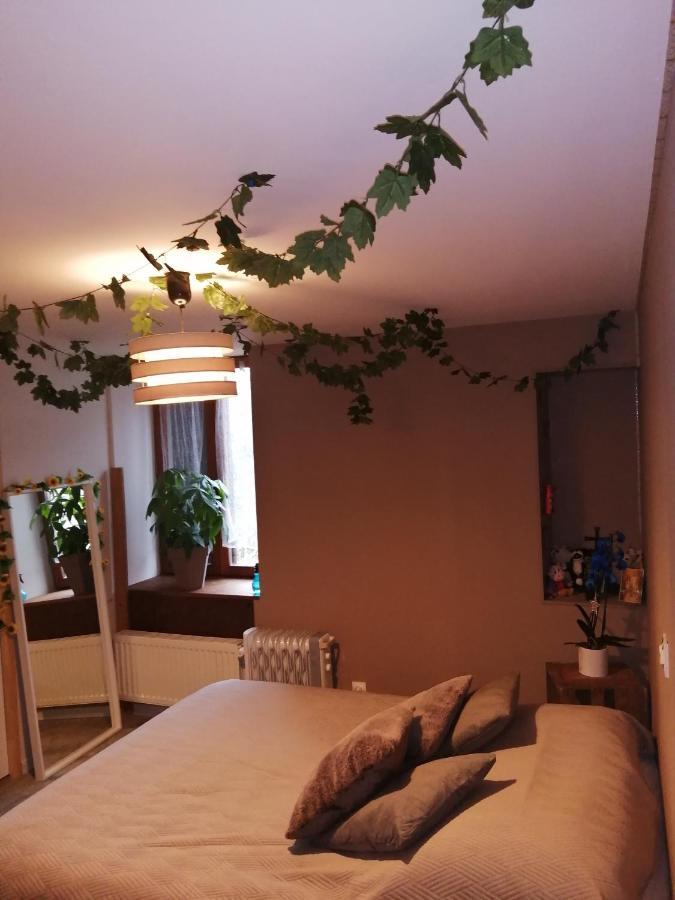 "Les Chaillottes" Chailles  외부 사진